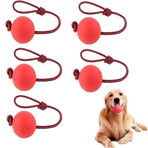 YQYCE 5 PCS Ball mit Schnur Hund, Wurfball für Hunde, Hundespielzeug mit Bällen am Seil, Hundebälle am Seil mit strapazierfähigen, elastischen Bällen, interaktives Hundespielzeug zum Apportieren