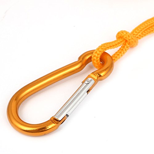 Ruilogod Fish Stringer Metal 5M con 5 Mosquetones miniatura 2
