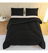 LETSLEEP Ergonomic Design Queen Comforter Set - 3 Piece Comfy Bedding Sets with Ultra Soft Quilt ...