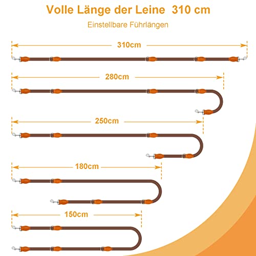 Hundeleine Doppelleine für Mittelgroße Große Hunde Führleine 3m Verstellbar mit 2 Karabiner Leine Hund Robust Nylon Dog Leash Multifunktionale Hundeleine 3 Meter lang x 1,4 cm Braun