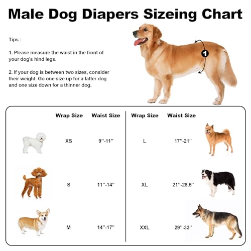 Washable Dog Diapers Male Reusable, Premium Belly Bands for Male Dogs Small, Pack of 3, High Absorbing Small Male Dog Pee Wraps for Doggie in Incontinence or Excitable Urination and Training(S)