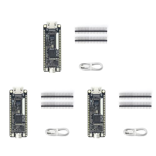 Carte de Développement Nano 9K FPGA GW1NR-9 RISC-V lot de 3 modules pour prototypage