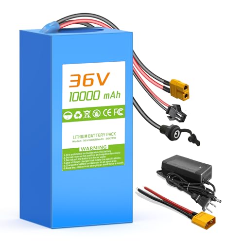 36V 10Ah Lithium Battery, 25A BMS for 100-600W Motors, w/ 2A Charger & XT60 Plug, Compatible with Jetson Bolt pro