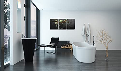 Nan Wind Frog On Tree Wall Art Canvas Wildlife Wall Decor Black And White Pictures On Wall Art For Home Office Decorations Living Room Bedroom And Kitchen Decor 3 Pcs Framed Canvas Prints 12X16Inches #TOP5