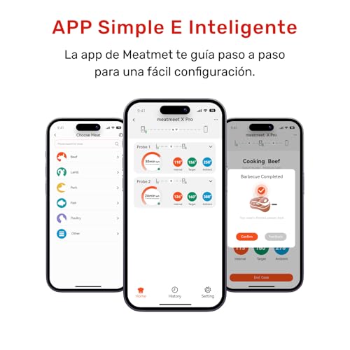 Termómetro para carne X Pro impermeable IP69 que evita asados secos con sus sondas inalámbricas 5