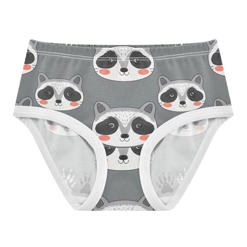 Girls Underwear Toddlers 2t Cotton Panties Little Girl Designer Undies Kids Briefs Cute Raccoon Gray