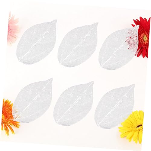 Hojas Naturales Esqueleto para Manualidades 6 piezas miniatura 4