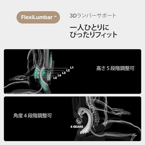 HINOMI H1 Pro V2 オフィスチェア デスクチェア メッシュチェア 椅子 テレワーク 疲れない ワークチェア パソコンチェア pcチェア 事務椅子 人間工学 チェア 3Dランバーサポート 格納式フットレスト 5D跳ね上げ式アームレスト 折りたたみ式 136°リクライニング ゲーミングチェア メッシュ (グレー, ノーマルタイプ) [4]