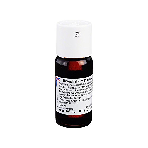 Preisvergleich Produktbild Bryophyllum Urtinktur, 50 ml