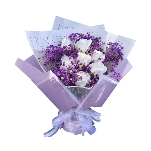 MAIBED  o J[l[V  񂰑ܕt \[vt[ u[P t[AWg o^Cf[ ̓ v[g (H) [sAi]