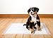 Hartz Home Protection Lavender Scent Odor Eliminating Gel Dog Pads, 30