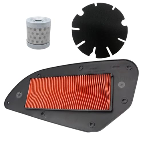Filtre à air moto et huile pour ARIIC 318 LK250T LK300T | Kit d'admission moteur complet 3 pièces