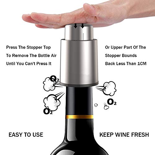 BeRicham Vacuum Wine Stoppers with Time Scale Record, Leakproof Wine Corks/Wine Preserver/Wine Sealer to Keep Wine Fresh, Gifts for Wine Lovers, Fits Any Bottle (2 Pack - Stainless Steel & ABS/Black)