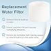 Imagen de Repuesto de filtro humidificador Dual150 Dual200S LV600S