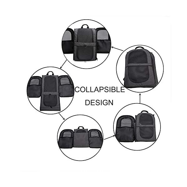 Apollo-Walker-Pet-Carrier-Backpack-for-LargeSmall-Cats-and-Dogs-Puppies-Safety-Features-and-Cushion-Back-Support-for-Travel-Hiking-Outdoor-Use-Black Apollo Walker Pet Carrier Backpack - Travel with Your Pets in Comfort and Style