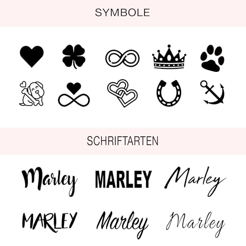 GOLDEN PAW Hundemarke mit Gravur personalisiert, Namensschild mit Telefonnummer, Adresse für Halsband - robuste Tiermarke aus Edelstahl, Dog Tag, Anhänger für Hunde, Katzen, Pferde & Welpen | Silber