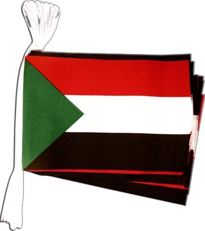 Guirlande Drapeau Soudan 5,9 m pour décorer vos soirées culturelles et fêtes