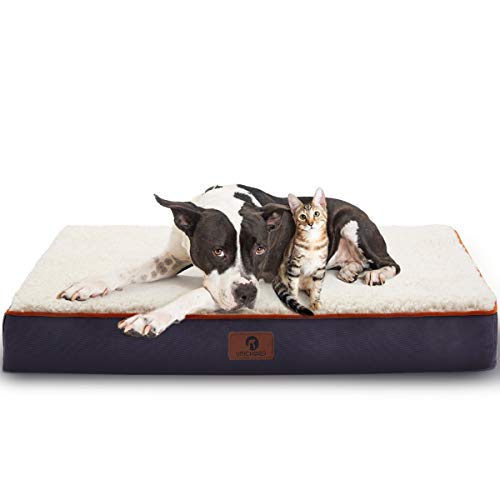 Compare price to dog beds extra large clearance