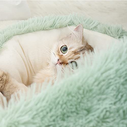 Litière pour chat douce en velours cristal lavable taille S vert - 2
