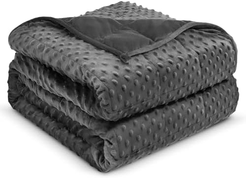 Weighted Blanket 15lbs for Adults, Ultra Soft Minky Dot Heavy Blankets for Sleep, Breathable Washable Throw Blanket with Glass Beads, 48