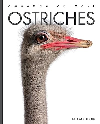 Ostriches (Amazing Animals)
