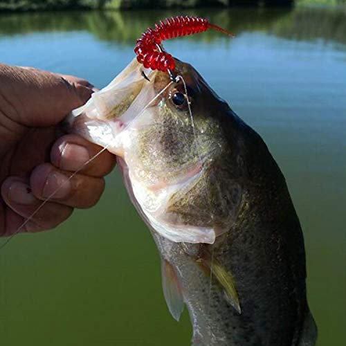 image for RUNCL Anchor Box - Straight Tail Worms, Swimbaits, Soft Fishing Lures 