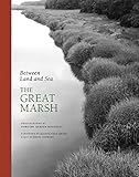 Between Land and Sea: The Great Marsh
