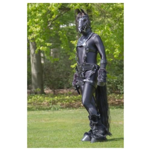 S2 Ep2 - SHOWPONY IN DISGUISE