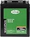 Magneti marelli batteria moto e scooter 14AH 12V 185A tecnologia AGM sigillata polo positivo destro