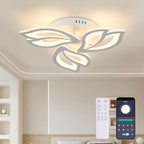 4. Dimensioni della lampada da soffitto: Diametro della lampada da soffitto 50 cm, altezza 10 ​​cm, 30W, 3000LM.