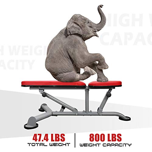 ER KANG Adjustable Weight Bench- 8+3 Positions Body Workout Bench, Multi-Purpose Incline/Flat Bench for Home Gym Fitness Strength Training (Red)