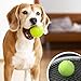 BUCOMTU Tennisbälle 12 Stück Tennisbäll Kinder Tennis Balls Sports Training Tennis Tennisball Hund Geeignet für Tennisunterricht, Schulen, Anfänger und Hundespaziergänge
