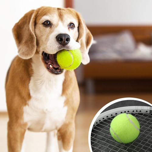 BUCOMTU Tennisbälle 12 Stück Tennisbäll Kinder Tennis Balls Sports Training Tennis Tennisball Hund Geeignet für Tennisunterricht, Schulen, Anfänger und Hundespaziergänge
