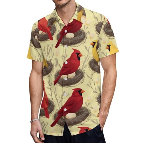 Beautiful Cardinal Birds