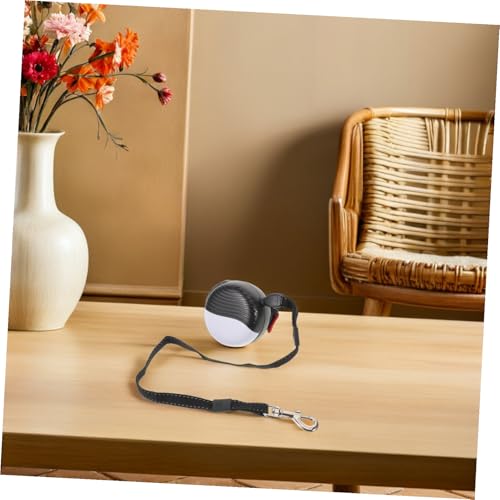 Laisse pour chien rétractable automatique robuste avec dragonne