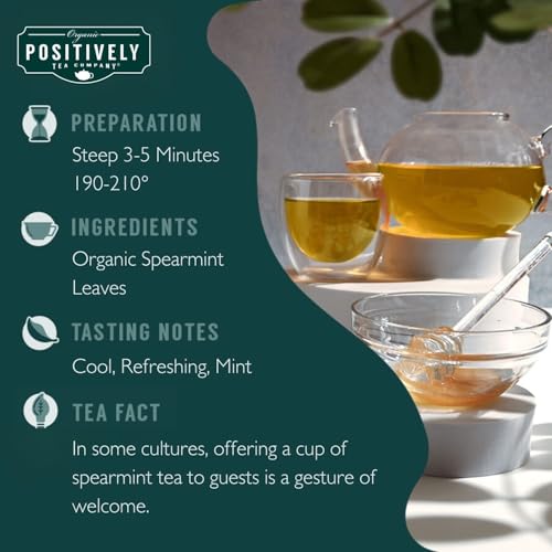 Image of Organic Positively Tea Company, Spearmint Leaf Herbal Tea Bags, 100 Count, Eco-Friendly Tea Bags, Non-GMO