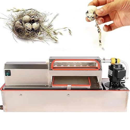 Sbucciatore elettrico in acciaio inox, 70 kg/h, strumento di lavorazione automatico per uova sode, garantisce un basso tasso di rottura