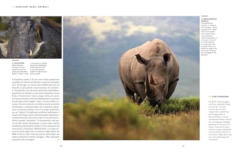 Sudafrica. Grandi Parchi E Coste Selvagge. Paesi Del Mondo - 8