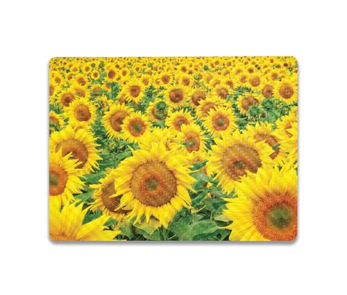 Image of MightySkins Carbon Fiber Skin Compatible with Microsoft Surface Laptop Go 3 (2023) Full Wrap Kit - Sunflower Field | Protective, Durable Textured Carbon Fiber Finish | Easy to Apply | Made in The USA