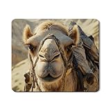 Conserva con cuidado suave: para prolongar la vida útil, evita usar blanqueador o limpiadores agresivos, simplemente limpia la superficie con un paño húmedo para eliminar el polvo