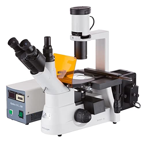 Image of AmScope IN300T-FL Long Working Distance Inverted Fluorescence Trinocular Microscope, 40x-400x, WH10x Eyepieces, Phase-Contrast, 30W Halogen Illumination, 0.3 NA Condenser, Mechanical Stage, 110V