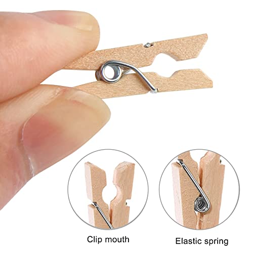 150 Pcs Small Wooden Clothes Pegs Mini Tiny Decorative Photo Pegs 2.5/3/3.5 cm LaundryClips for Hanging Photos Pictures - Image 4