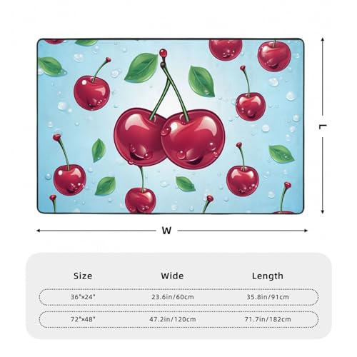 Tapis de sol absorbant et lavable grand format pour la maison - 3