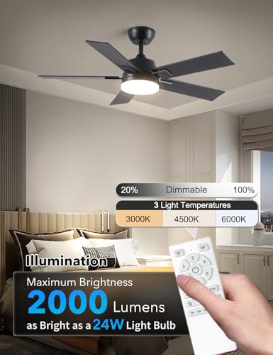 Image of Rayqueen 42 Inch Black Ceiling Fans with Lights and Remote,Includes Downrod