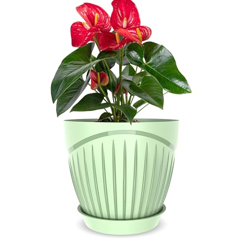 Image of ELUVIA Plastic Plant Pots with Drainage Holes and Trays - Set of 5 (6 Inch) - Minimalist Decorative Indoor Flower Pots for Living Room, Balcony & Office Garden (Green)