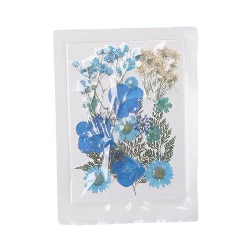 100 flores prensadas secas para manualidades tipo 4 miniatura 5