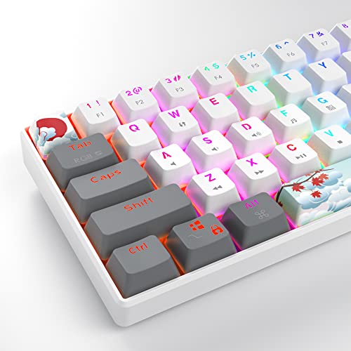 Owpkeenthy Rgb Mechanical Keyboard 60 Percent Red Switches, Ultra-Compact Mini Wired Gaming Keybaord With Backlit Pbt Dye-Sub Keycaps For Win/Mac/Pc (White/Red Switch) #TOP5