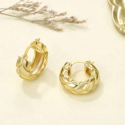 Image of FRUMOS 18K Gold Plated Chunky Hoop Earrings for Women Fashion Thick Gold Hoops Set Jewelry for Birthday Christmas Gifts