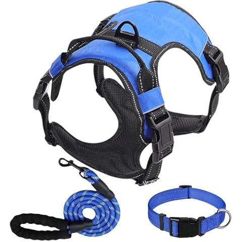KUEIOX Dog Harness Set, No Pull Dog Vest Harness and 5ft Leash & Collar for Small Medium Sized Large Dog Cat,Adjustable Soft Nylon Padded Dog Vest Reflective Front Clip Vest with Easy Handle -Blue S Cover