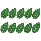 10 Clips De Fijación Para Pared De Escalada De Plantas + 1 Acrílico. Alambrada De Gallinero Valla Cañizo Plástico Malla Aceitunas Malla Ocultación Accesorios Toldos Tensor Alambre Emparrado Abono Plantas Interior Barritas Orquídea Artículos De Jardinería Tomatera Urbana compatible with Maceta Tomatera Tenderos De Ropa De Cuerda Loneta Toldo Puertas Hierro Exterior Rafia Herramientas Rafia Natural Tela Tensores De Alambre De Plantas Vivas Colgantes Interior Madreselva Planta